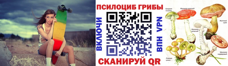 Купить закладки  Каменск-Шахтинский  Псилоцибиновые грибы Cubensis 